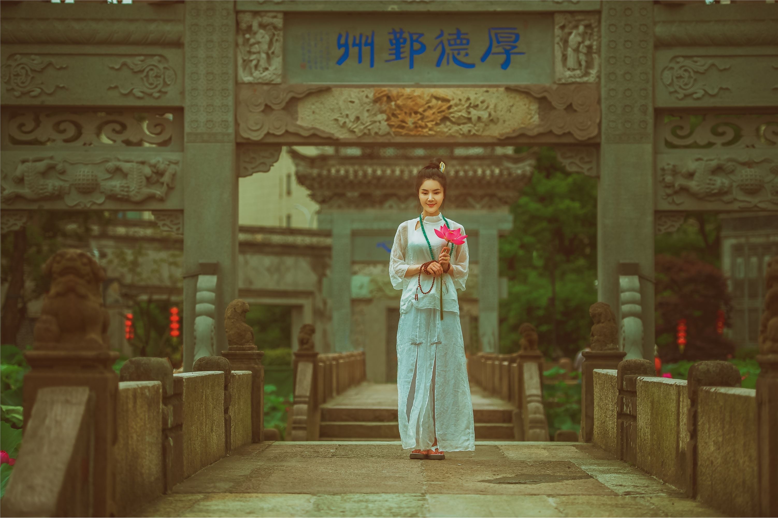 YITUYU艺图语 2021.08.14 赏荷记 颗颗树